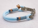Tau-Halsband Bright Blue Petrol Twist